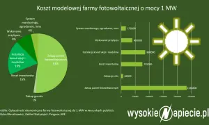 Koszty budowy elektrowni słonecznej w Polsce: zakup paneli to 51%, instalacja 19%, inwertery 16%, przyłącza 9%, monitoring 4%, grunt 1%.
