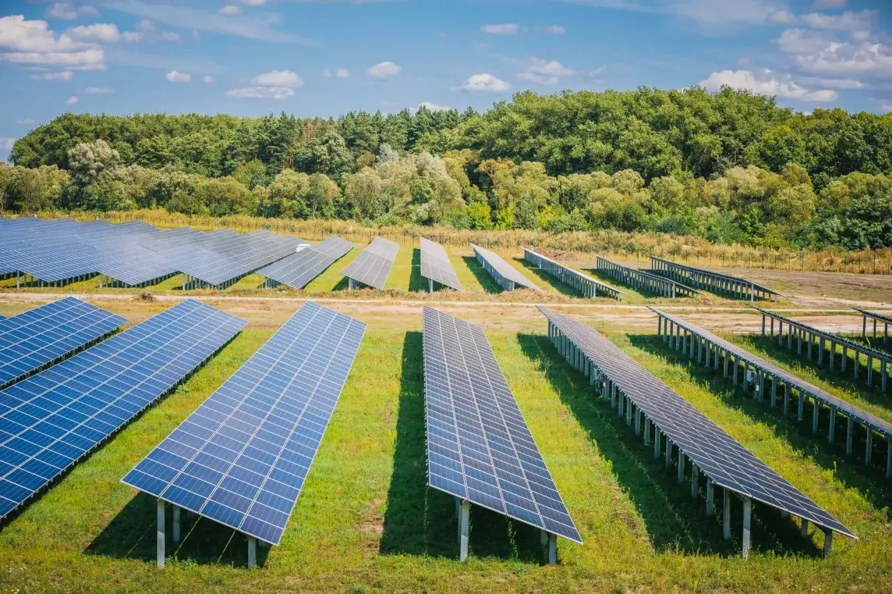 Duże pole paneli fotowoltaicznych na gruncie, otoczone zielenią. Przepisy dotyczące instalacji są kluczowe dla rozwoju tej technologii.